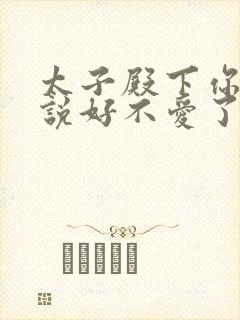 太子殿下你不是说好不爱了吗顾岁安全集阅