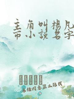 主角叫杨凡的都市小说名字