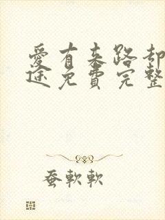 爱有来路却无归途免费完整