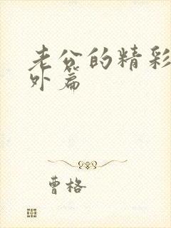 老公的精彩之番外篇