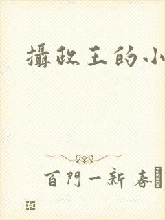 摄政王的小宠妃