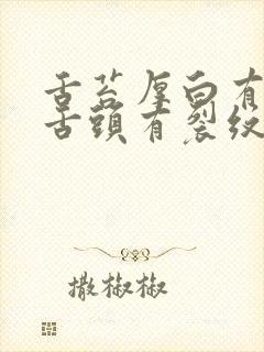 舌苔厚白有齿痕舌头有裂纹