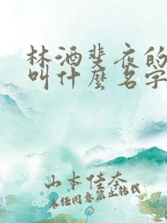 林酒斐夜的小说叫什么名字