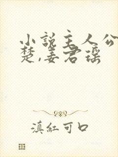 小说主人公叫叶楚,姜君瑶