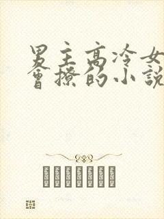 男主高冷女主很会撩的小说