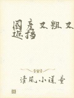 国产又粗又黄无遮挡