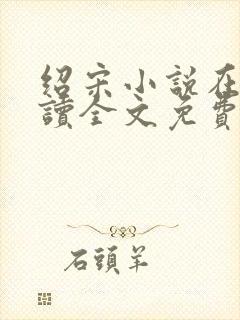 绍宋小说在线阅读全文免费