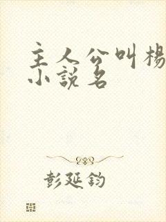 主人公叫杨凡的小说名