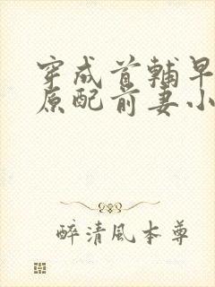 穿成首辅早逝的原配前妻小说