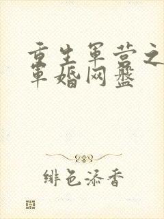 重生军营之王牌军婚网盘