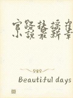 官路扶摇崔向东小说最新章节