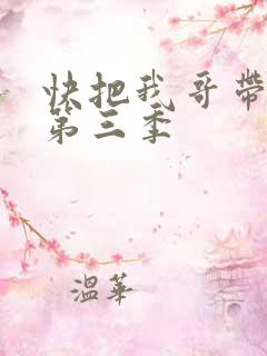 快把我哥带走 第三季