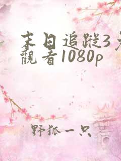 末日追踪3免费观看1080p