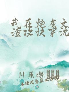 我在炮灰文里当渣攻快穿沈年