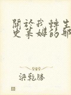 关于我转生成为史莱姆的那件事小说