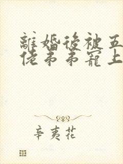 离婚后被五个大佬弟弟宠上天 短剧