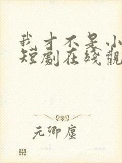 我才不是小可怜短剧在线观看