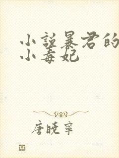 小说暴君的替嫁小毒妃