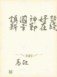 镇国神婿楚尘最新章节在线