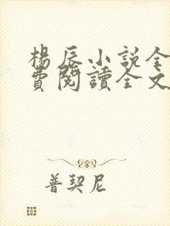 杨辰小说全文免费阅读全文