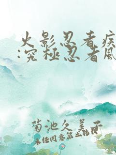 火影忍者疾风传:究极忍者风暴4