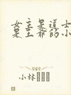 女主是道士男主是王爷的小说