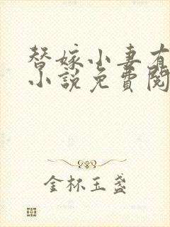 替嫁小妻有点甜小说免费阅读全文