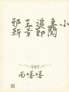 邪王追妻小说最新章节阅