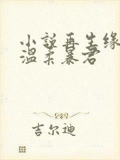 小说再生缘我的温柔暴君