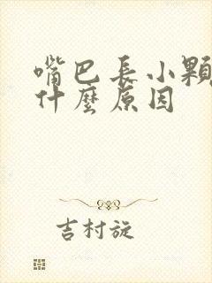 嘴巴长小颗粒是什么原因