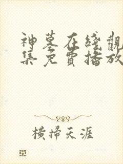 神墓在线观看全集免费播放.