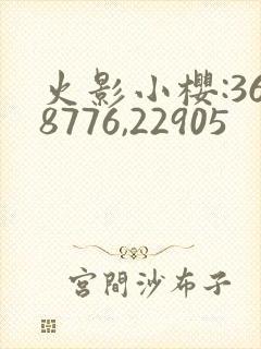 火影小樱:368776,22905