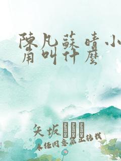 陈凡苏晴小说主角叫什么