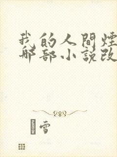 我的人间烟火是哪部小说改编的