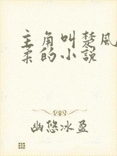 主角叫楚风和苏柔的小说