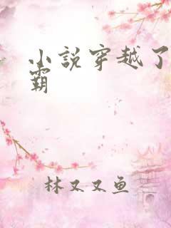 小说穿越了的学霸