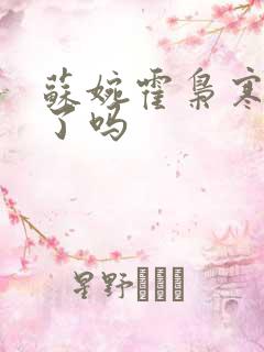 苏婉霍枭寒结束了吗