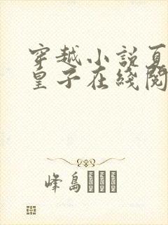 穿越小说夏天九皇子在线阅读