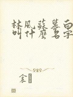 林风苏慕白小说叫什么名字