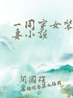 一同穿女装的夫妻小说