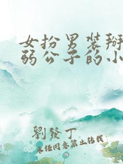 女扮男装掰弯病弱公子的小说