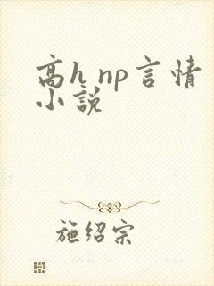 高h np言情小说