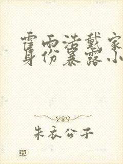 霍雨浩戴家三少身份暴露小说