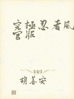 究极忍者风暴4官版