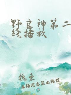 野良神第二季在线播放