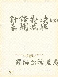 针锋对决txt未删减版