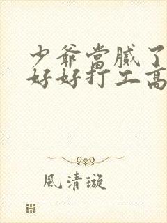 少爷当腻了只想好好打工高清