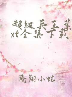 超级兵王叶谦txt全集下载