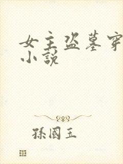 女主盗墓穿越的小说