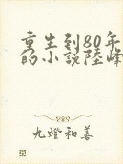 重生到80年代的小说陆峰